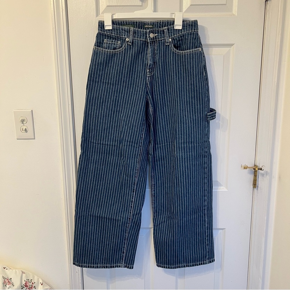 Wild Fable - Low-rise Blue Pinstripe Jeans / Size 4R